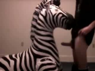 Zebra gets throat fucked przez pervert guy wideo